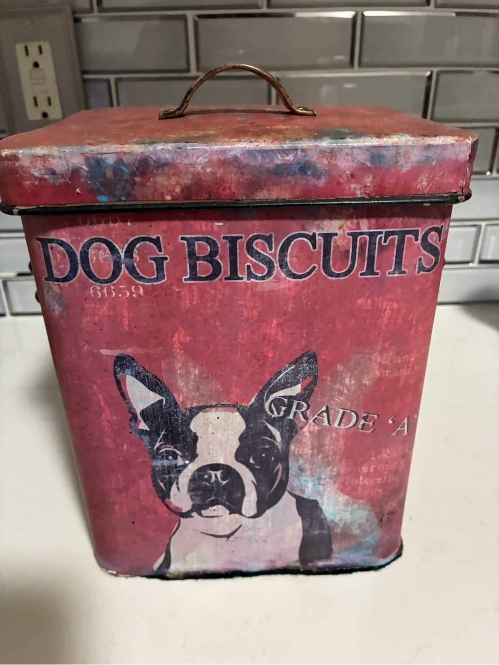 Dog Biscuits Boston Terrier Tin Canister Storage